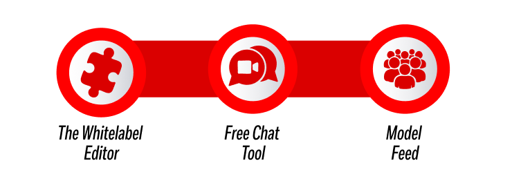 A Toolkit Built for Maximum Engagement within the Lesbian Webcam Niche