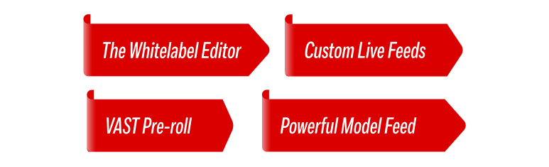 A Toolkit Designed for Fetish Webcam Niche Domination